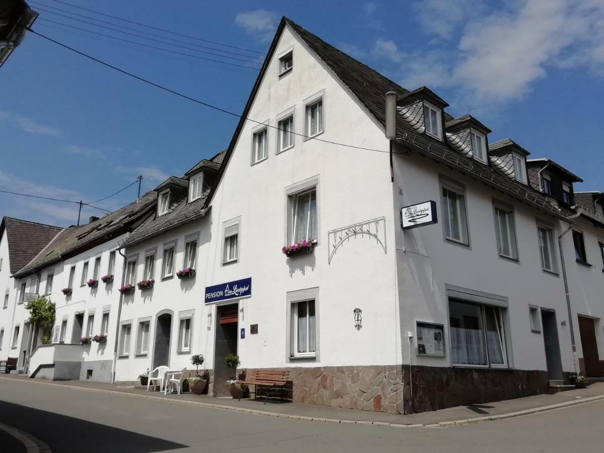 Pension Am Lieserpfad Manderscheid Zewnętrze zdjęcie